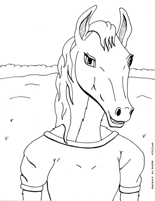 equine anthro